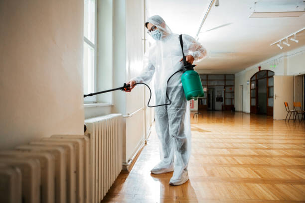 Professional Pest Control in Gerald, MO